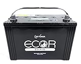 カーバッテリー 新品未使用 GSユアサ EC 44B19L Amazon.co.jp: GSユアサ EC 44B19L ST ECO.R スタンダード 国産